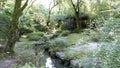 Heian garden, Kyoto, Honshu Island, Japan Royalty Free Stock Photo