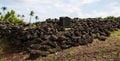 Heiau of Poliahu