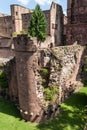 Heidelberg caste ruins in Germany at summer day