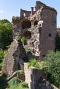 Heidelberg caste ruins in Germany at summer day