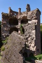 Heidelberg caste ruins in Germany at summer day