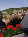 Heidelberg Castle from Balcony with Red Flowers Royalty Free Stock Photo