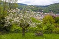 Heidelberg city in spring, Baden-Wurttemberg, Germany