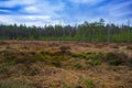 Heidenreichsteiner Moor - the marshland in Austria (peat bog, peatbog) Royalty Free Stock Photo