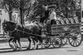 Heineken Horse And Carriage At Amsterdam The Netherlands 2018 In Black And White Royalty Free Stock Photo
