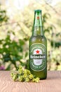 Heineken Lager Beer