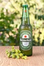 Heineken Lager Beer