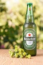 Heineken Lager Beer