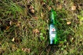 Heineken Lager Beer glass bottle on green grass. People throw food waste