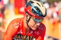 Heinrich HAUSSLER Royalty Free Stock Photo