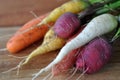 Heirloom Carrots Fresh Harvest. Purple, Orange, Yellow and White