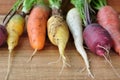 Heirloom Carrots Fresh Harvest. Purple, Orange, Yellow and White