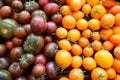 Heirloom cherry tomatoes for sale in farmer's market in summer Royalty Free Stock Photo