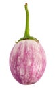 Heirloom eggplant isolated on white Royalty Free Stock Photo