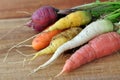 Heirloom fresh carrots Purple, orange yellow and white