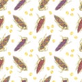 Heirloom Indian corn seamless pattern, rainbow cobs textile, multicolored maize background. Watercolor print for kitchen Royalty Free Stock Photo