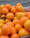 Heirloom Orange Tomatoes