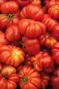 Heirloom Organic Tomatoes