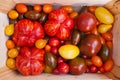 Heirloom tomato cultivars