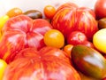 Heirloom tomato cultivars Royalty Free Stock Photo