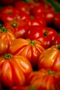 Heirloom tomatoes Royalty Free Stock Photo