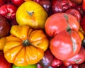 Heirloom tomatoes on display 3 Royalty Free Stock Photo