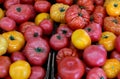 Pile of Heirloom tomatoes for sale Royalty Free Stock Photo