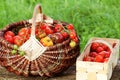 Heirloom variety tomatoes in baskets on rustic table. Colorful tomato - red,yellow , orange. Harvest vegetable cooking Royalty Free Stock Photo