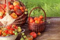 Heirloom variety tomatoes in baskets on rustic table. Colorful tomato - red,yellow , orange. Harvest vegetable cooking Royalty Free Stock Photo