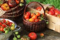 Heirloom variety tomatoes in baskets on rustic table. Colorful tomato - red,yellow , orange. Harvest vegetable cooking Royalty Free Stock Photo