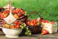 Heirloom variety tomatoes in baskets on rustic table. Colorful tomato - red,yellow , orange. Harvest vegetable cooking Royalty Free Stock Photo