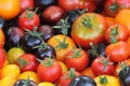 Heirloom variety tomatoes on rustic table. Colorful tomato - red,yellow , black, orange. Harvest vegetable cooking Royalty Free Stock Photo