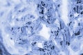 HeLa cervical cancer cells stained with Coomassie Blue under a microscope Royalty Free Stock Photo