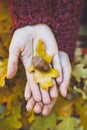 Held in the palm bunch of acorns