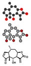 Helenalin sesquiterpene lactone molecule. Toxin found in Arnica montana