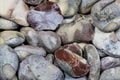 Helgoland flints Royalty Free Stock Photo