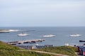 Helgoland Harbour Royalty Free Stock Photo