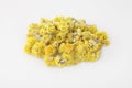 Helichrysum arenarium dwarf everlast and immortelle Royalty Free Stock Photo