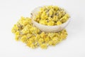 Helichrysum arenarium dwarf everlast and immortelle Royalty Free Stock Photo