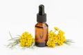 Helichrysum essential oil on amber bottle isolated on white background Royalty Free Stock Photo