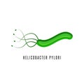 Helicobacter pylori illustration microaerophilic bacterium which infects various areas of the stomach and duodenum