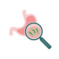 Helicobacter pylori bacteria stomach research illustration. Royalty Free Stock Photo