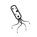 Helicobacter Pylori icon