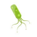 Helicobacter Pylori icon Royalty Free Stock Photo