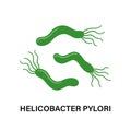 Helicobacter Pylori. Stomach diseases. Bacterium with flagella that causes gastritis.