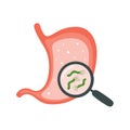 Helicobacter Pylori in the stomach. Stomach diseases. Bacterium with flagella that causes gastritis.