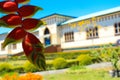 Heliconia in front first plane with beautiful blurred garden and antique edification or old military castle in Cartago Costa Rica