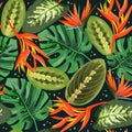 Heliconia and strelizia flowers vector illustration. Tropical orange plants background.