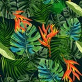 Heliconia and strelizia flowers vector illustration. Tropical orange plants background.