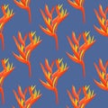 Heliconia and strelizia flowers vector illustration. Tropical orange plants background.